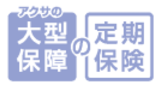 アクサの大型保障の定期保険